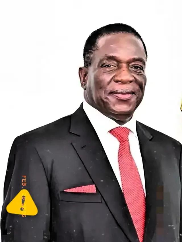 津巴布韦突然宣布锂矿出口禁令，即刻生效、毫无缓冲，连在途货物都被管控。原本202