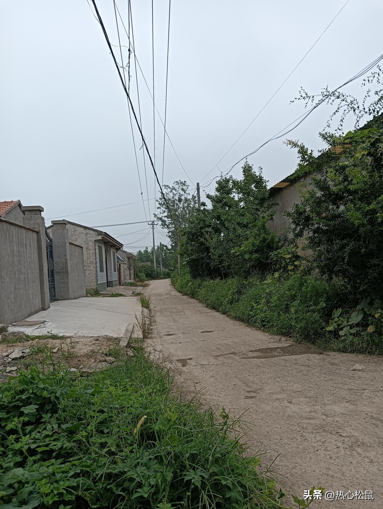 乡村小路，两旁绿树成荫。路边的杂草。太多也没有人清理。把杂草清理完了就漂亮。