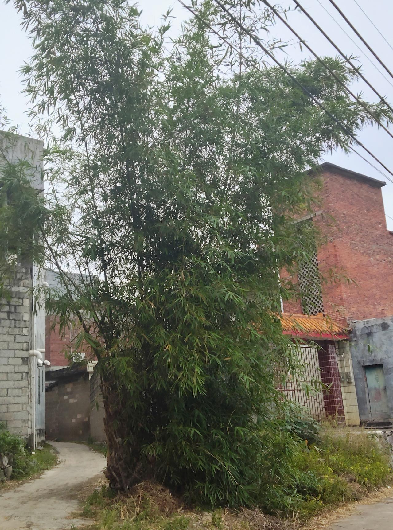 又一个冬天到了，乌克兰对俄罗斯的打法好像真变了。

以前冬天对乌克兰来说是噩梦，