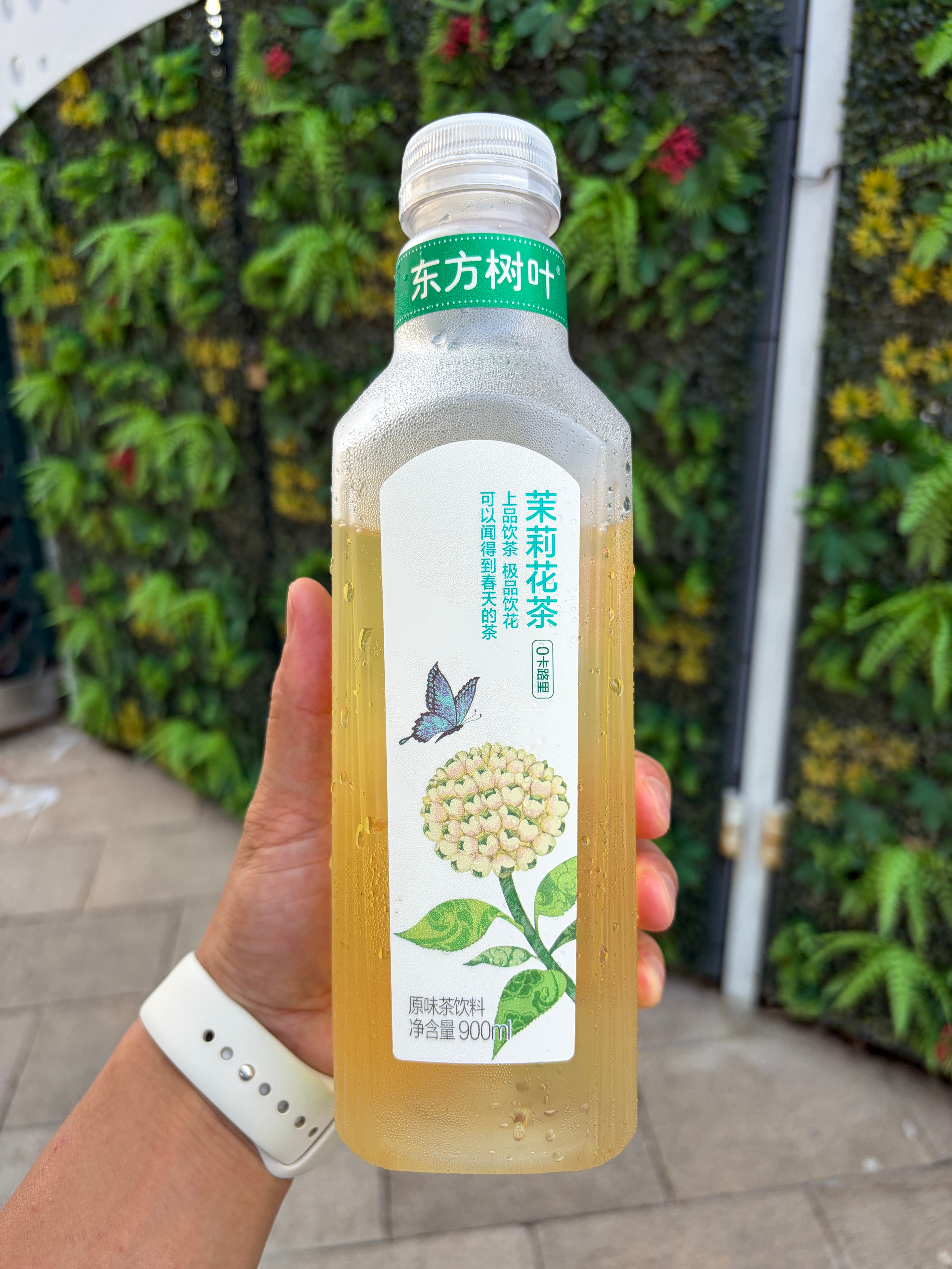 分享图片 