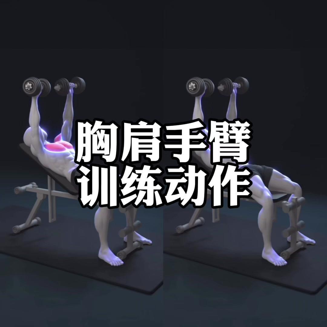 新手小白怎么练胸肩手臂？💪新手健身入门，胸肩手臂三个部位怎么练？今天把动作拆解