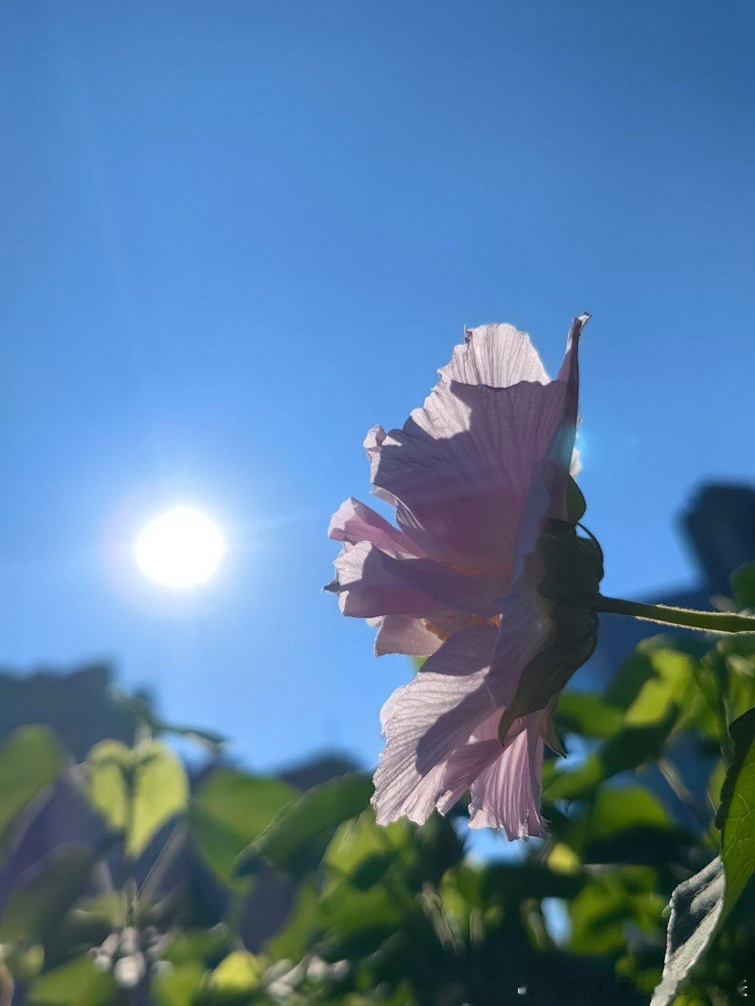 七八点钟的朝阳一小时锻炼完成路上遇到一个跑团，邀我加入，我婉拒。我有自己的节奏，