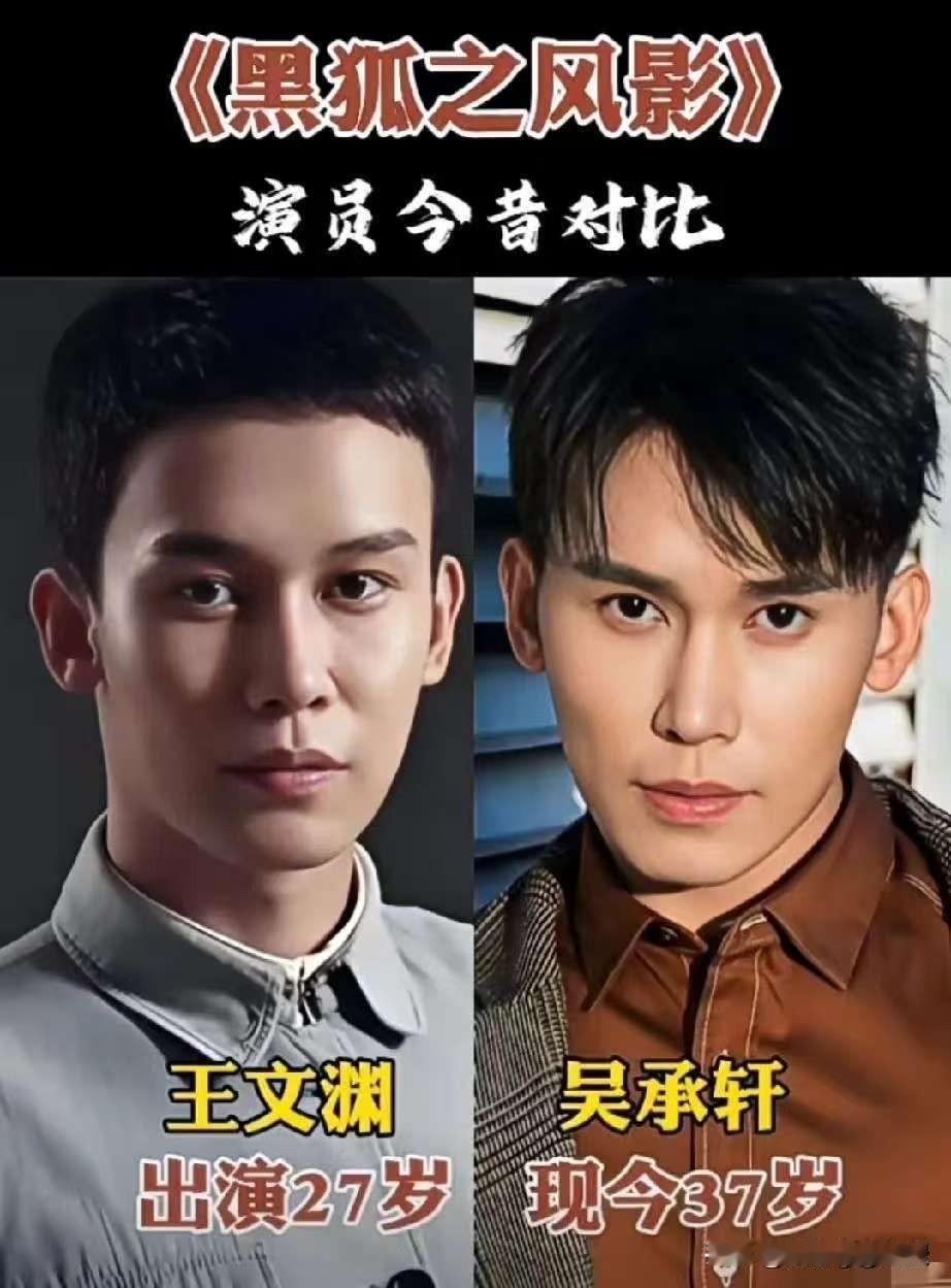 2016年的《黑狐之风影》，当年在湖南经视首播时收视率一度冲到9.16%。十年过