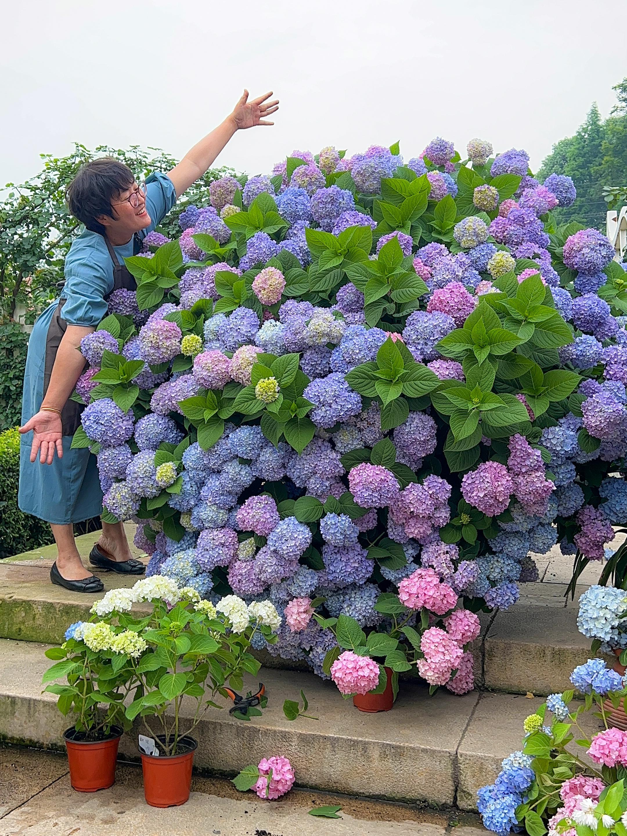 双11限时9块9，24款植物等你来抢！。10月20日20:00，双11...