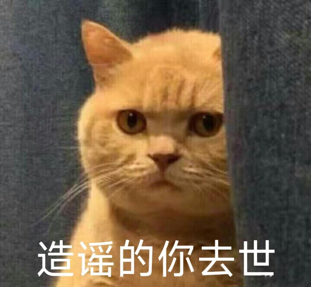 博君一肖[超话]  战战去春联这个事你们信了几次？次次空欢喜，难瘦、香菇。。。我