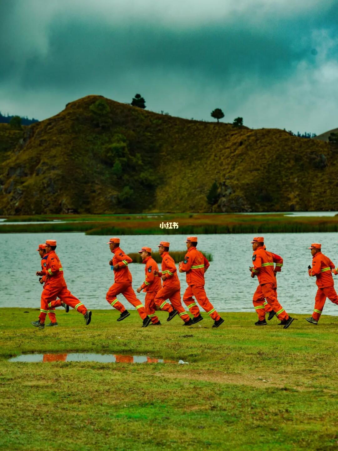 新年里最耀眼的高原之光