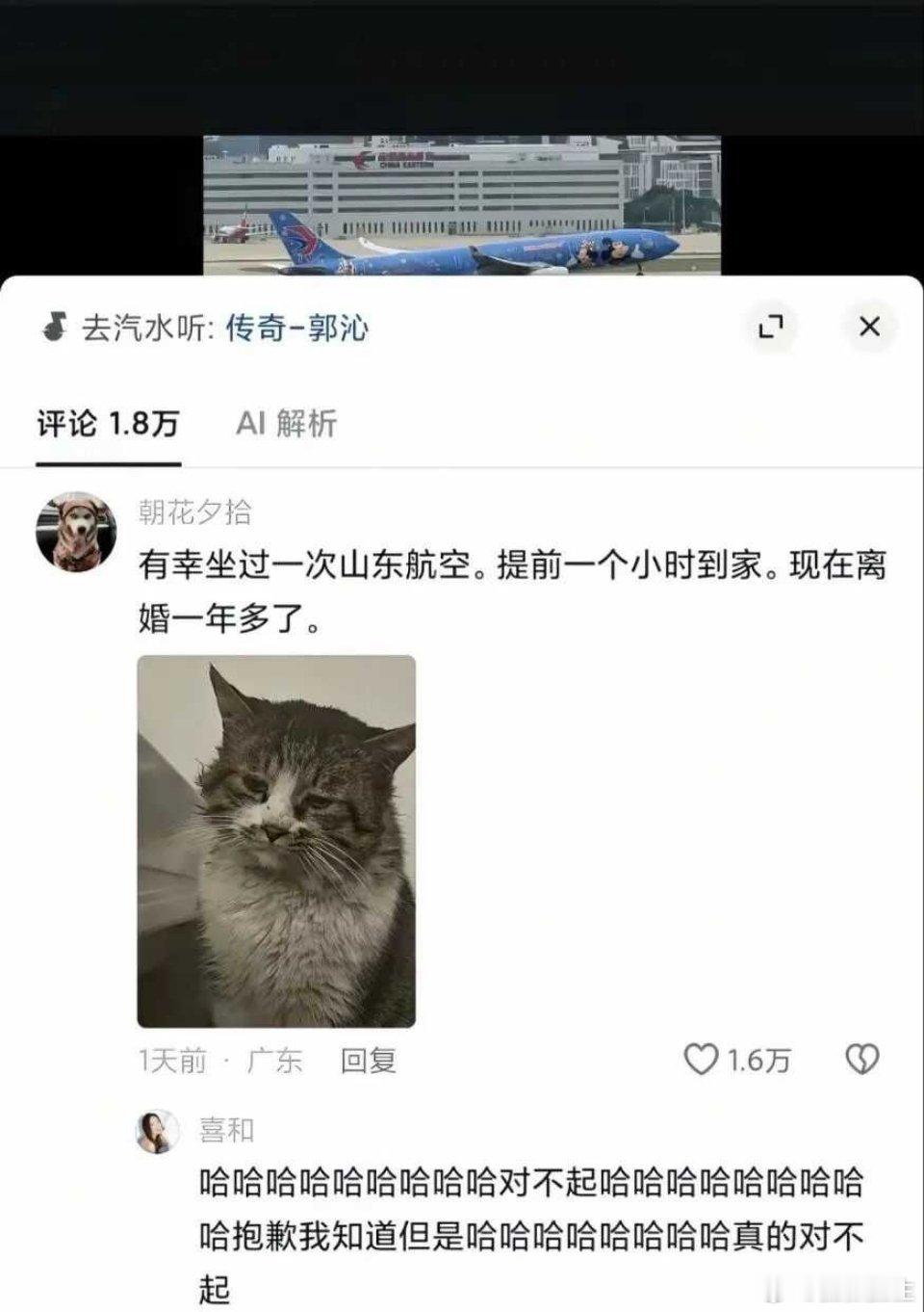 忍不住笑的评论
