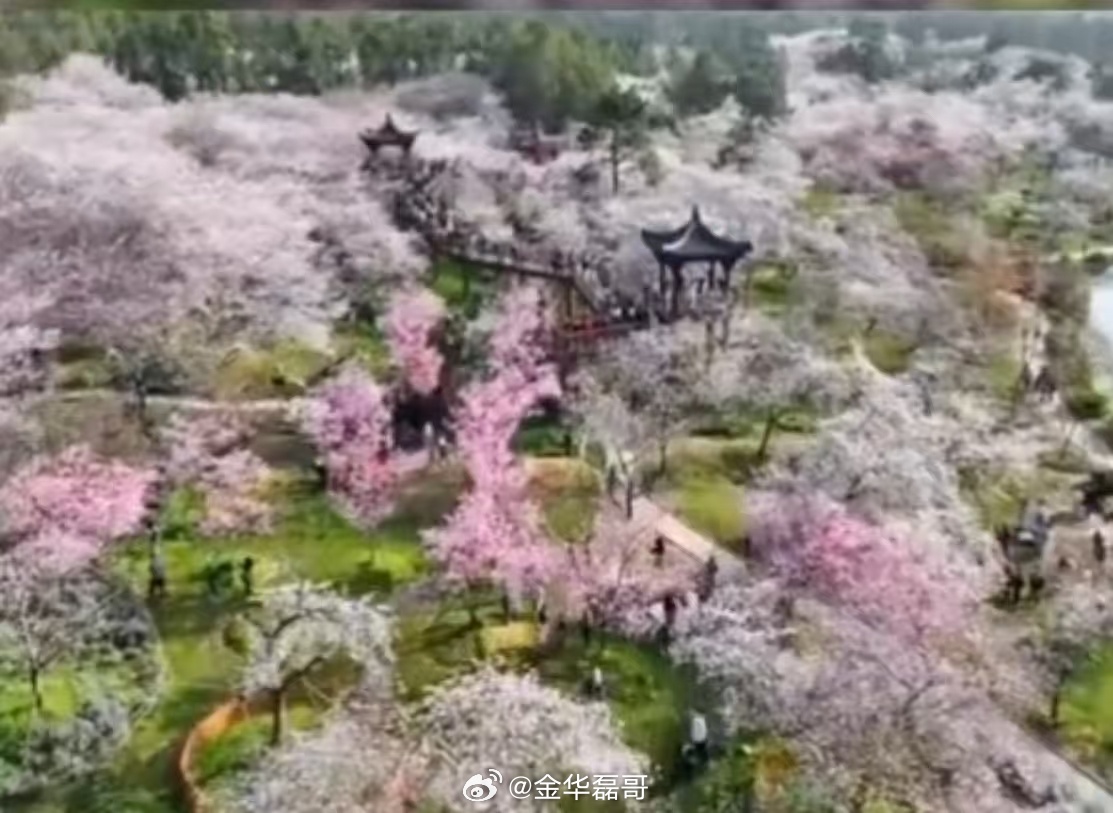 武汉今年入春近二十年来第三早太暖了2026武汉春来得格外早，近二十年第三早入春，