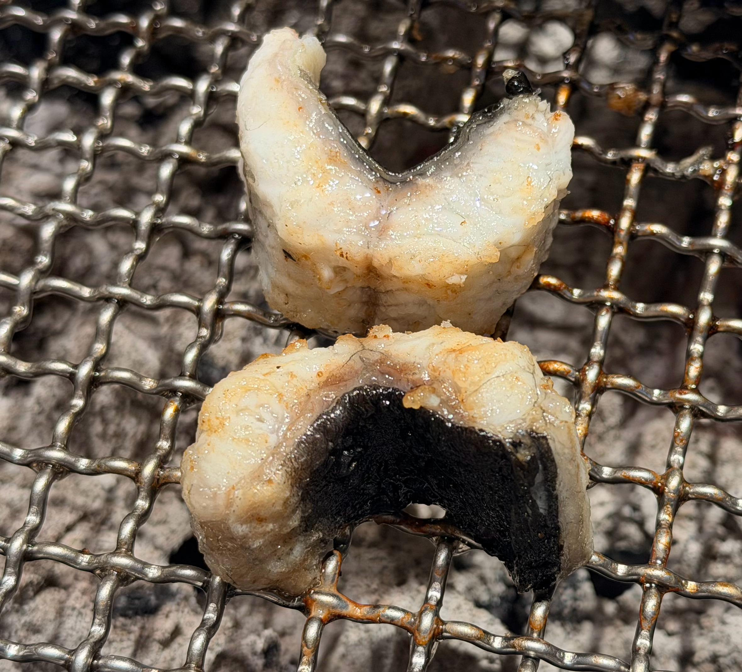 活杀的鳗鱼用炭火慢慢烤真的人间美味 