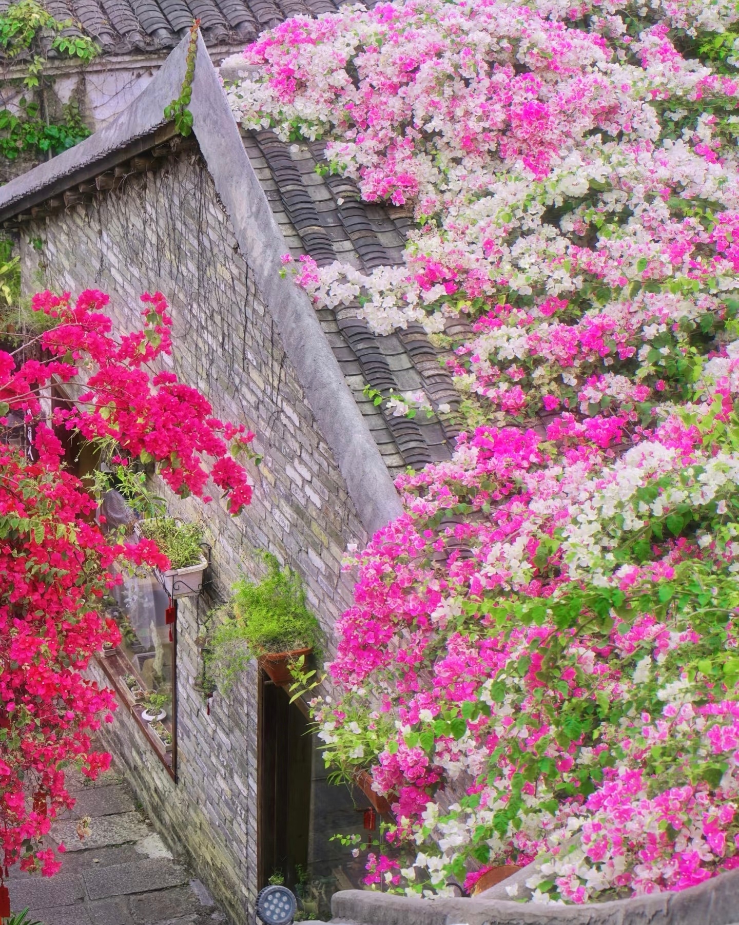 “  随分夏凉冬暖，赏心秋月春花 ...  ” 