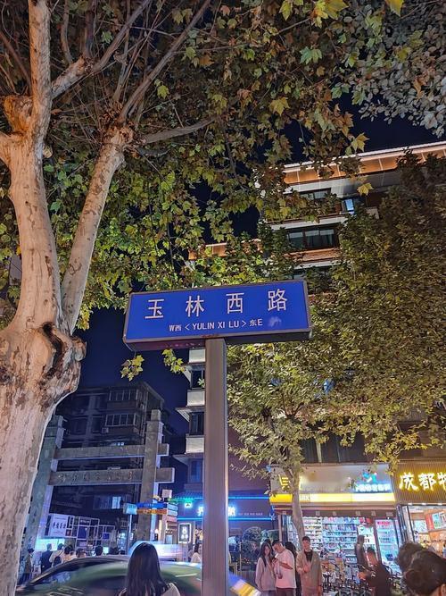 成都市玉林西路街头：这里业态更新、环境优美，文艺中带着市井气，既现代又有烟火，值