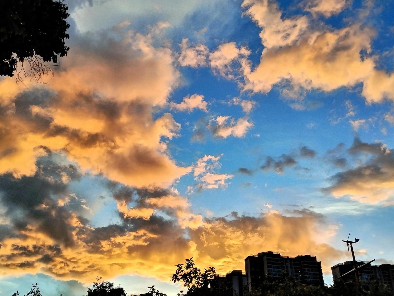 夕阳下，城市与自然交织的美丽瞬间。