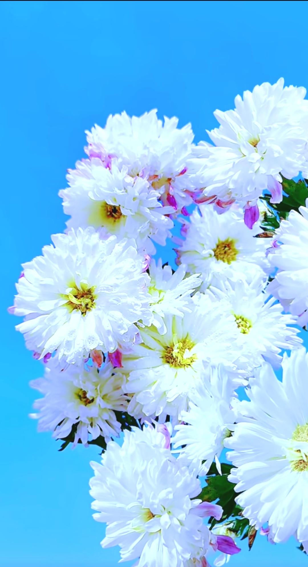 如何减肚子上的肉？
减肚子上的肉，运动和饮食都不能少。运动方面，平板支撑就挺有效