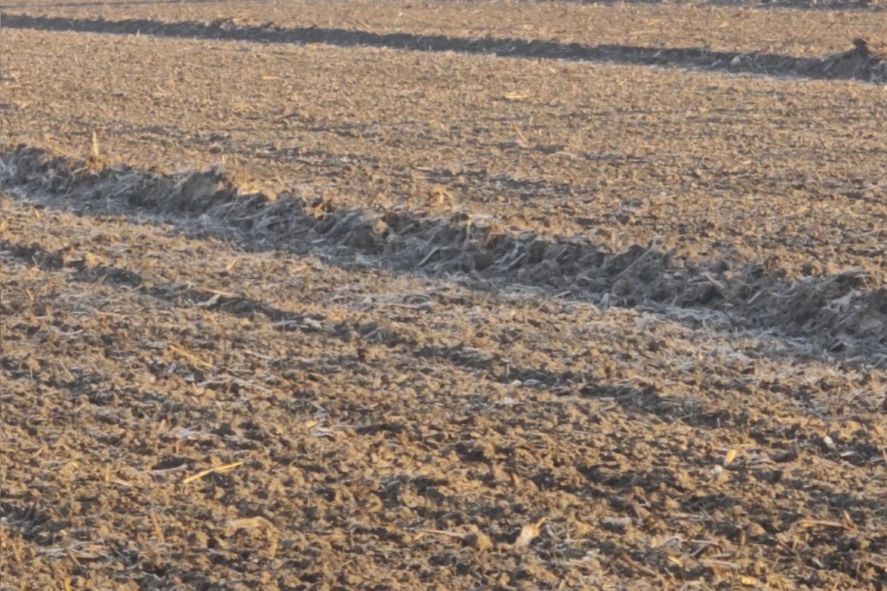 【历史正在重演？AI时代的“恩格斯停顿”，我们这一代人能熬过去吗？】
💔你发现