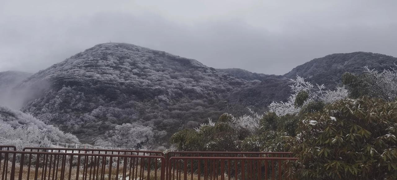 重仓南沙或许是广州错误的选择，产出与投入远远不成正比，南沙的区位位置虽然好，但奈