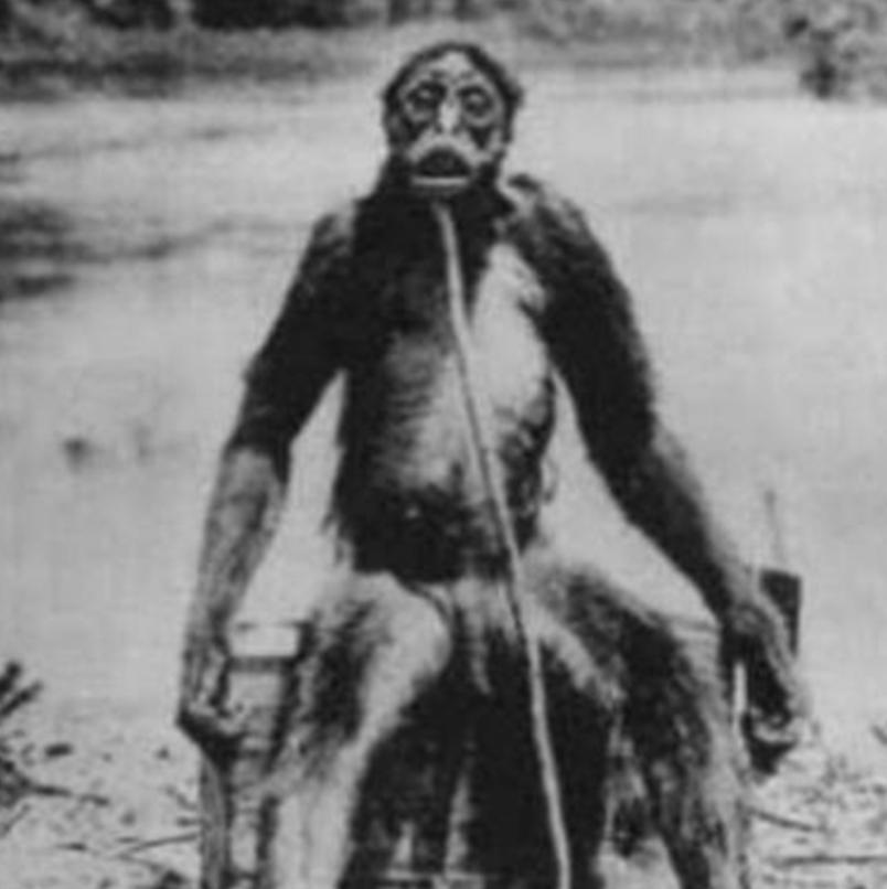 1929年，一张照片震惊了整个科学界：一只直立端坐、没有尾巴的巨型猿类，据说身高