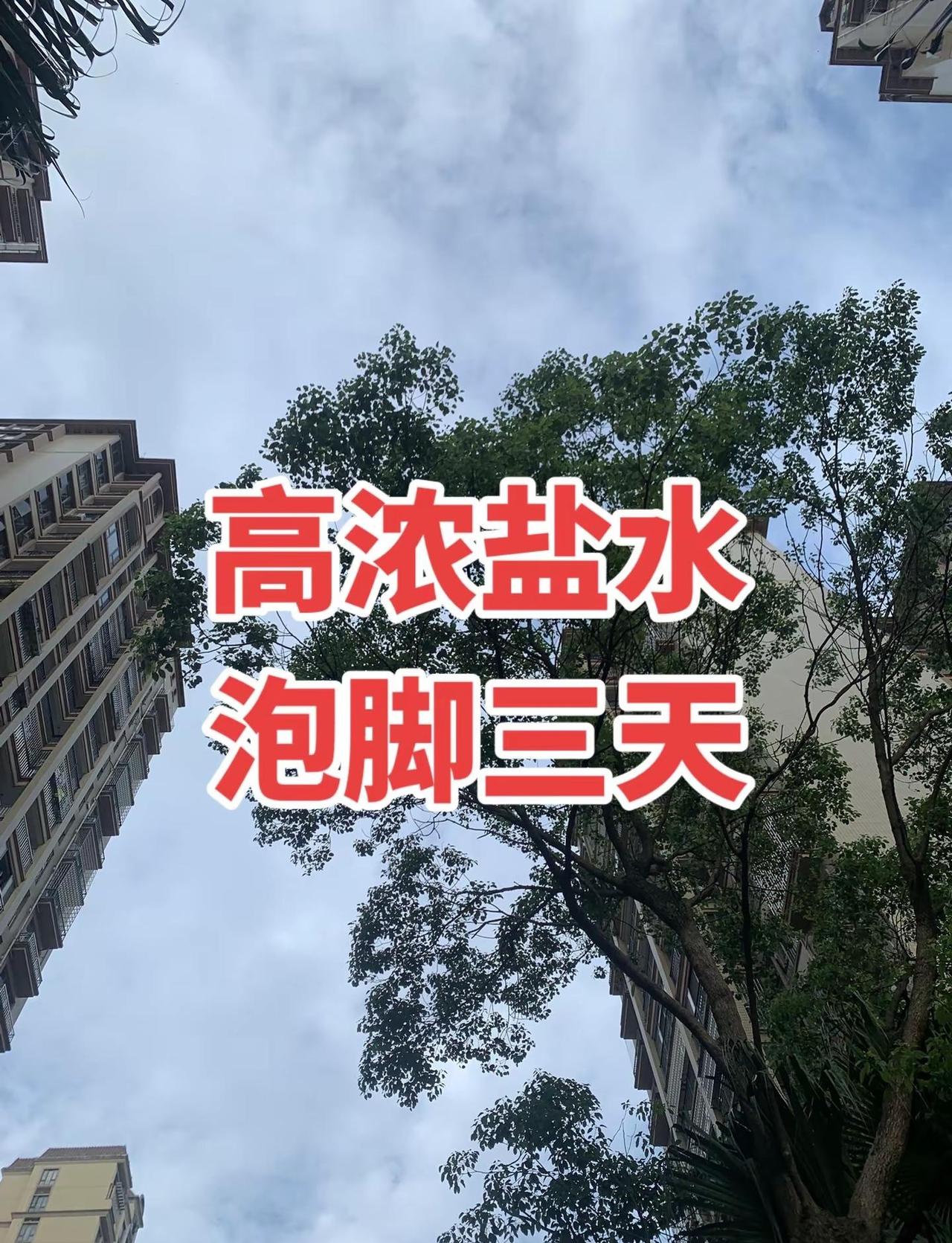 封神一战！吴宜泽绝杀墨菲，斩获世锦赛桂冠，解锁世锦赛首个00后冠军头衔！中国斯诺