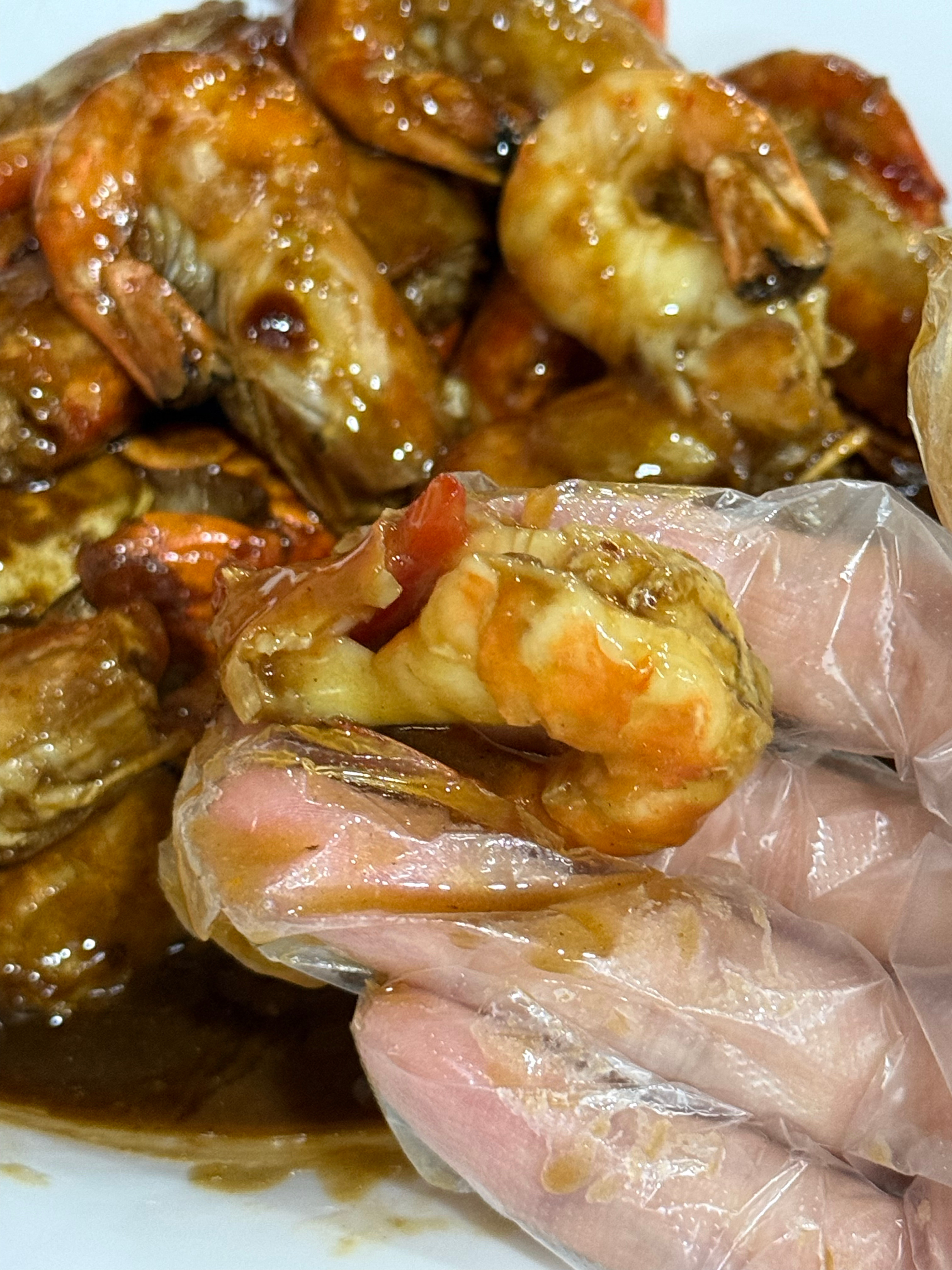 钓虾🦐 