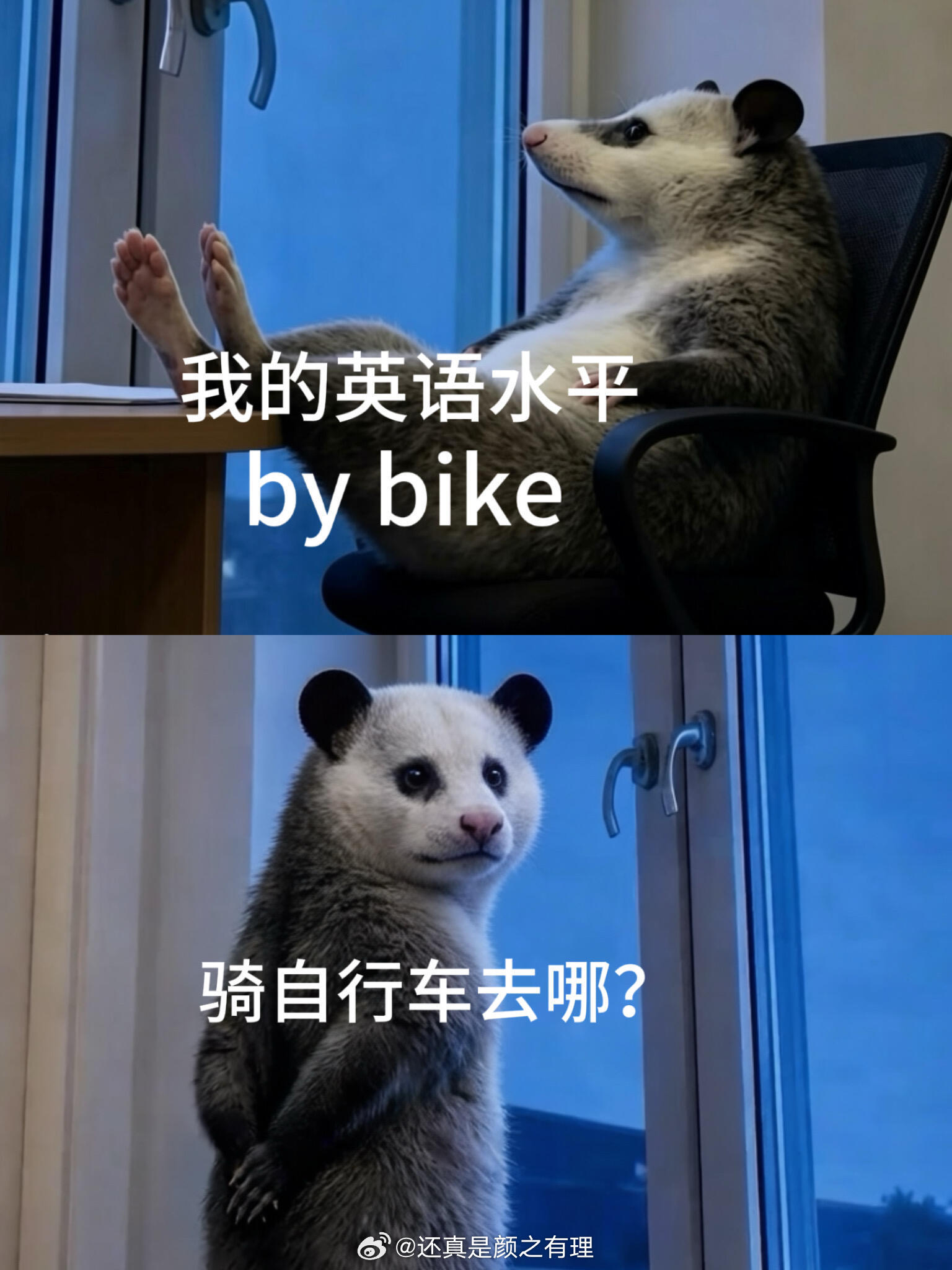 我的英语水平如下： 