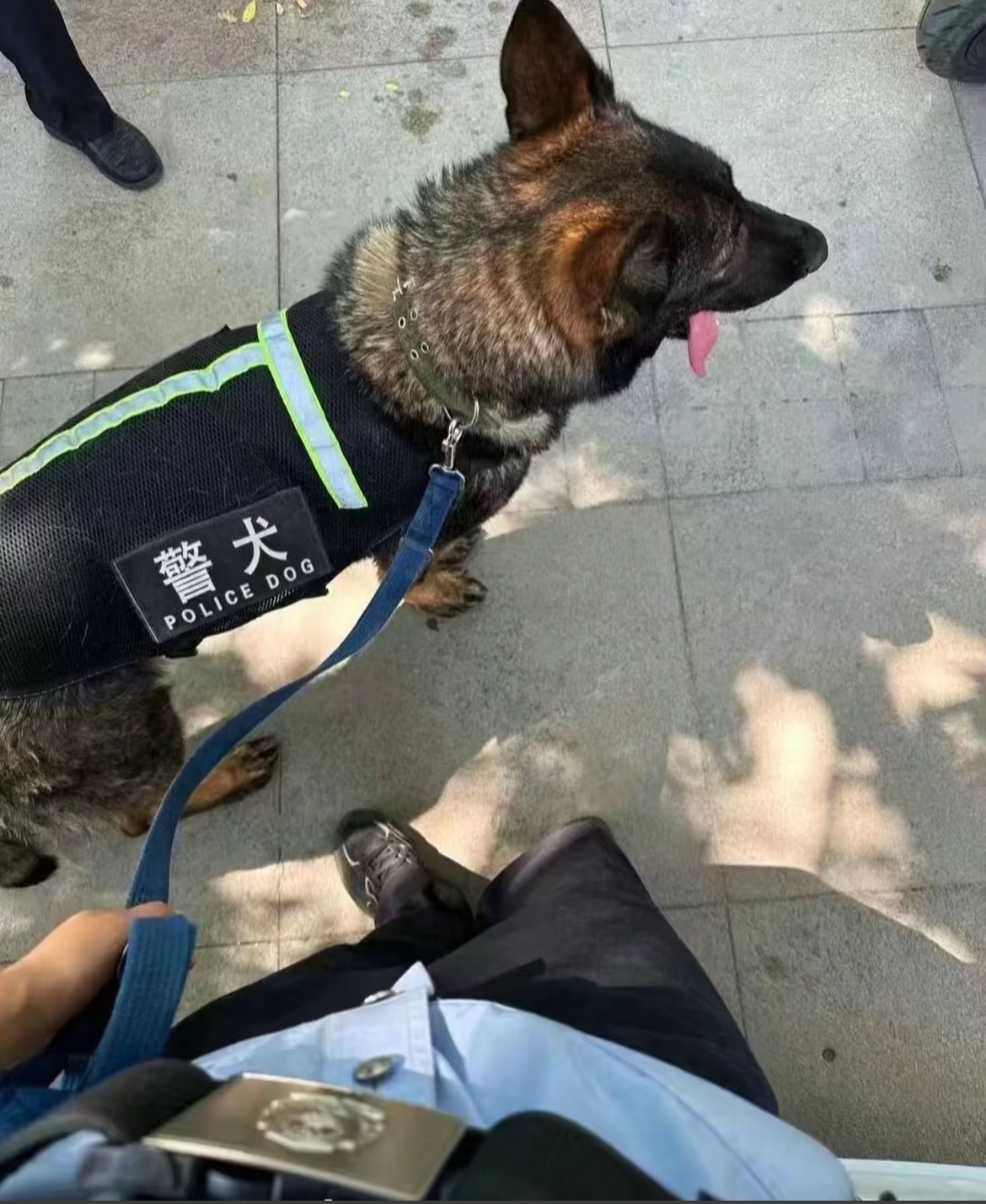 冲就完事，㊗️ 各位准大学生金榜题名！