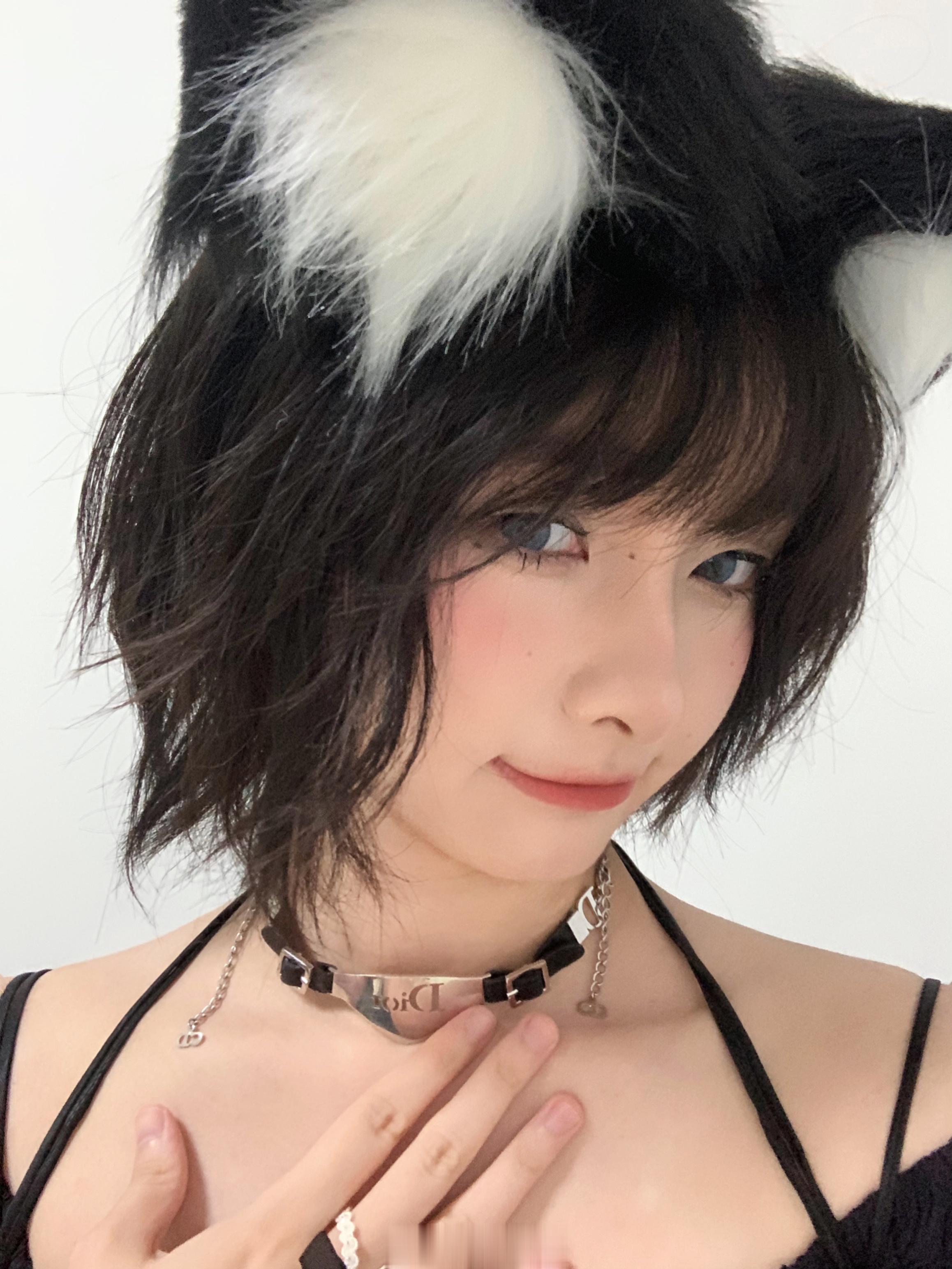 今天是小猫🐈‍⬛真是美丽动人 ​​​
