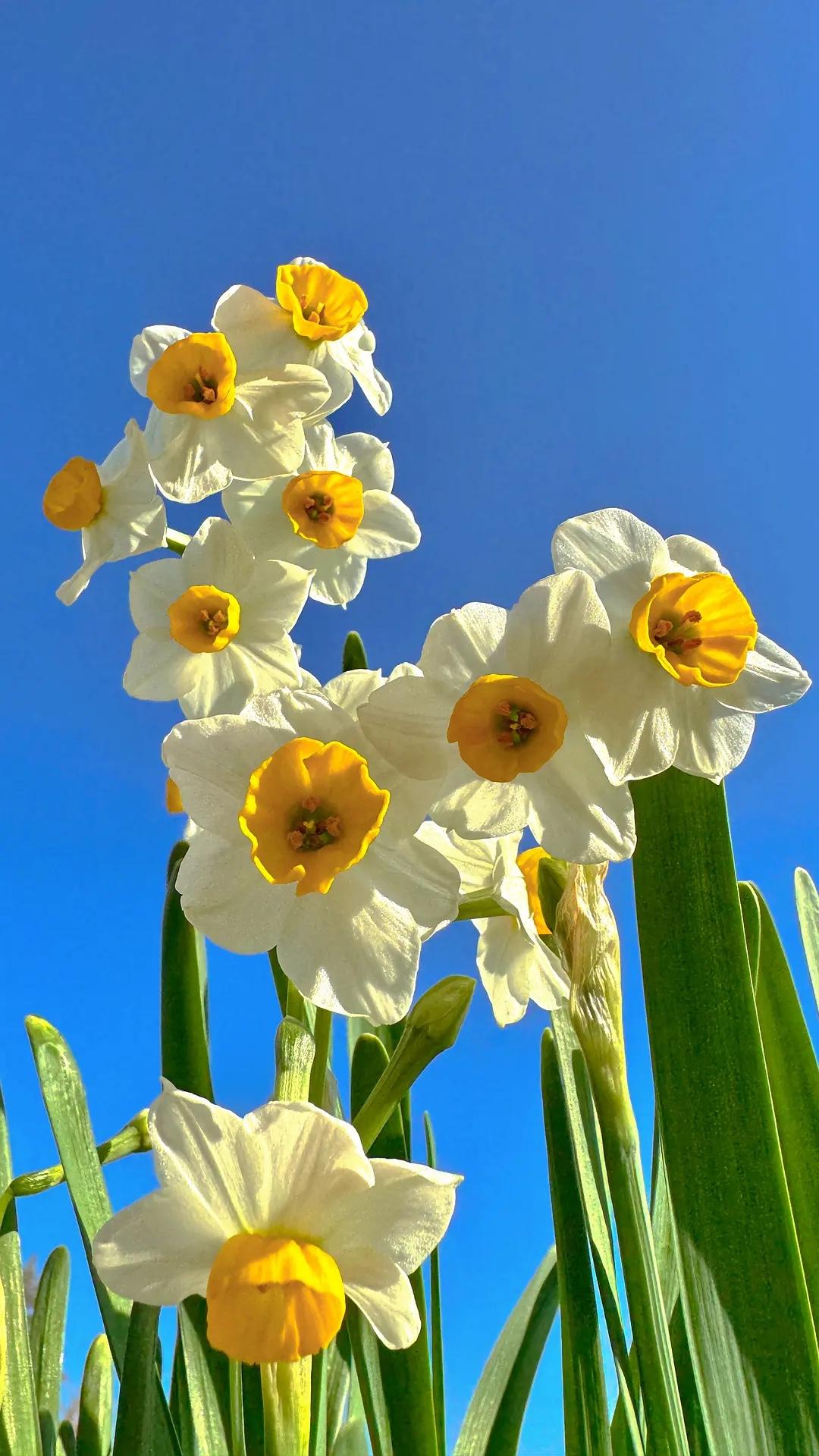 这才是有城府的女人：

1. 朋友圈，不发。
2. 别人的朋友圈，只看，不点赞不