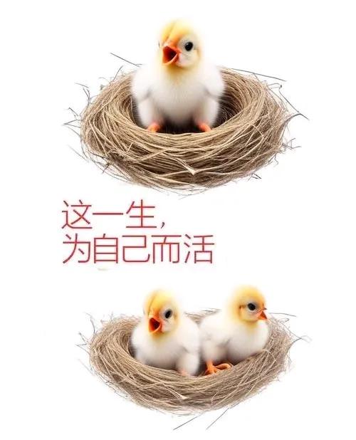人过一辈子,什么最重要? 分享些工作感悟 20 余载的单位时光，那是岁月深深的烙