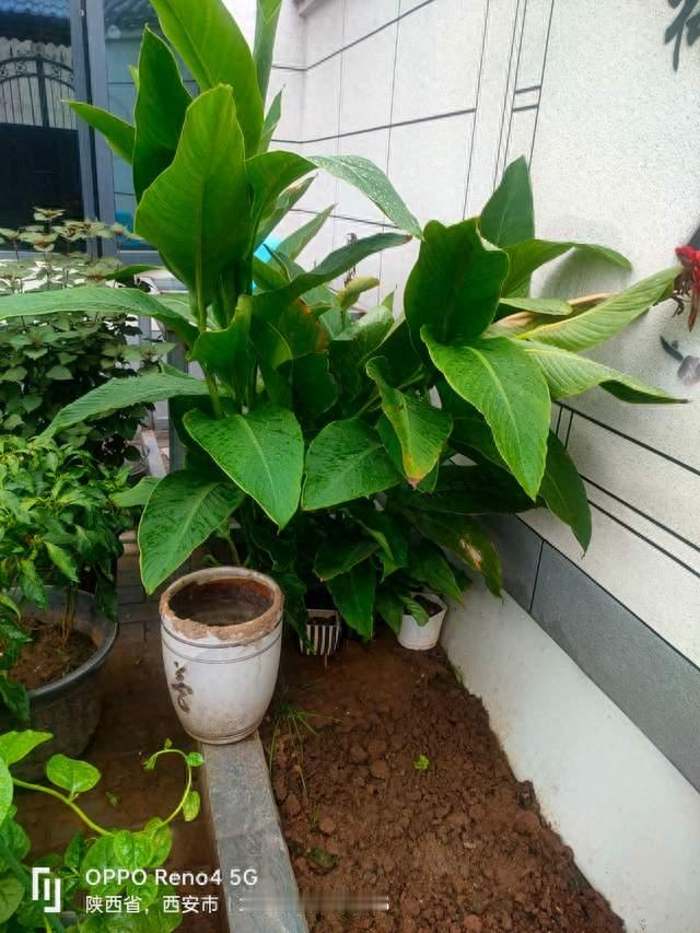 乾隆：亲手把大清推向巅峰的皇帝，为何也埋下了衰落伏笔