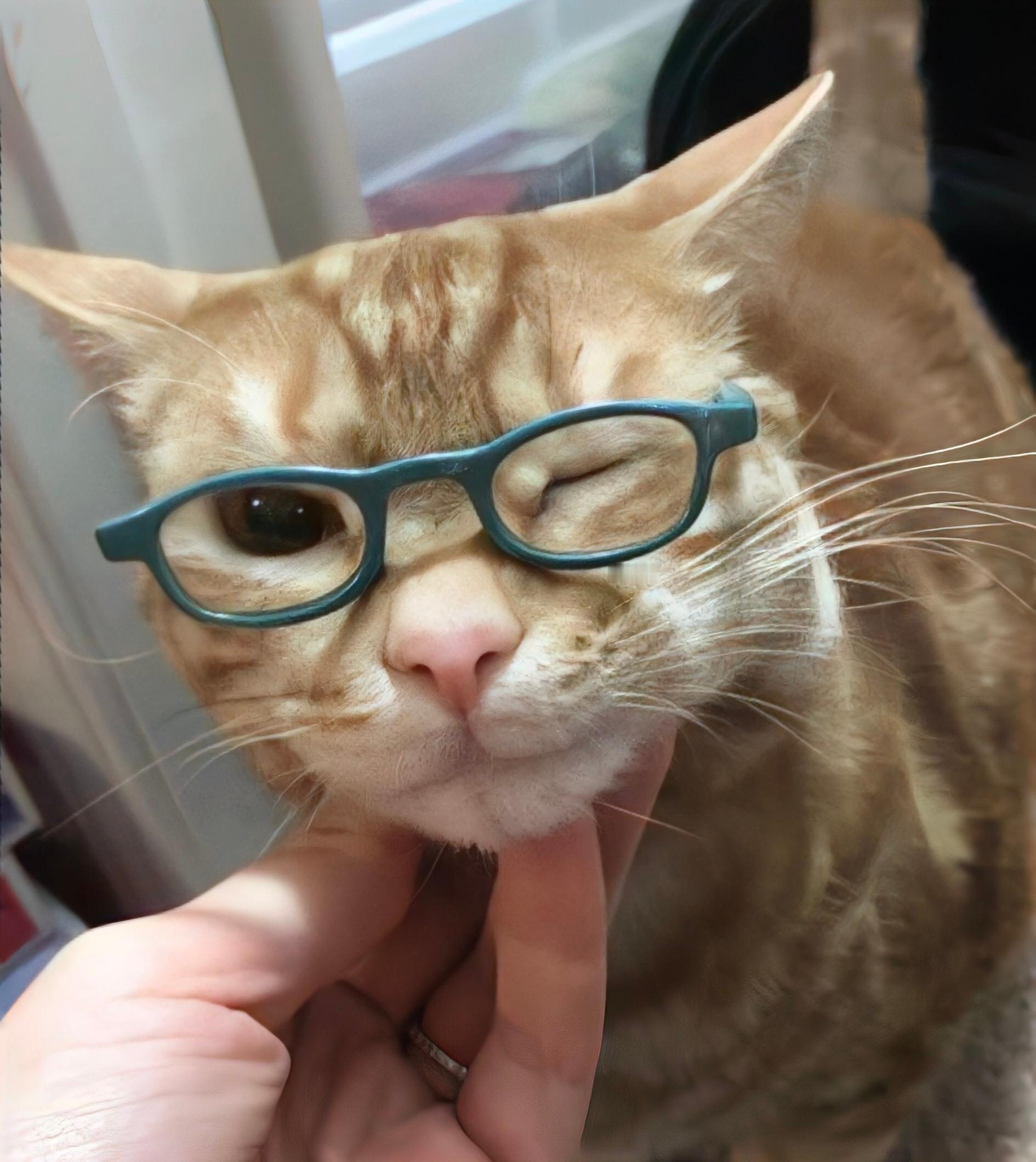 👓漫 