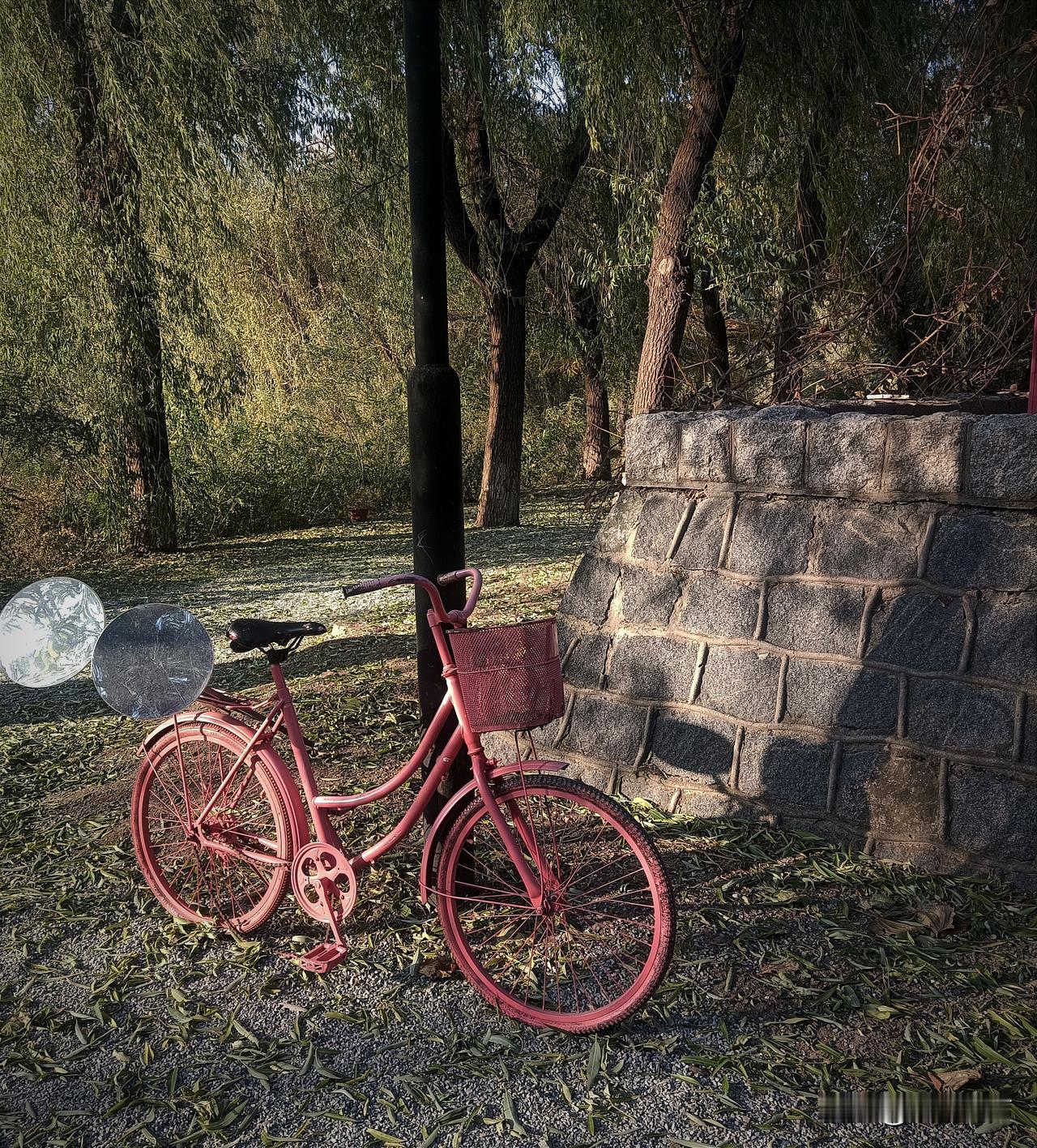 上个世纪六、七十年代，自行车是城市人民的主要交通工具，每家差不多都能有一台，甚至