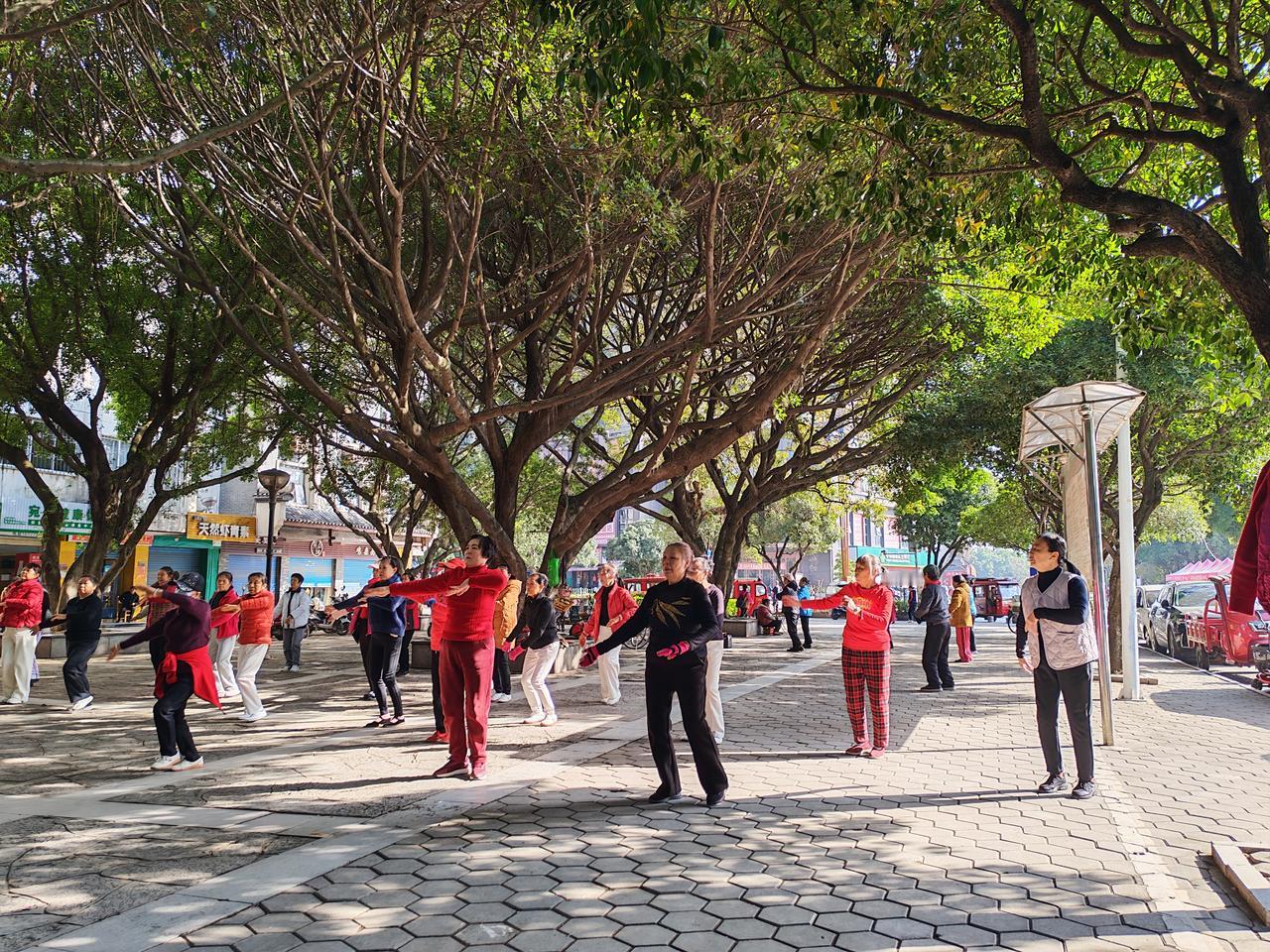 新年的清晨走到桂林灵川的街头，阳光透过枝繁叶茂的大树洒下来，映着叔叔阿姨们一身喜