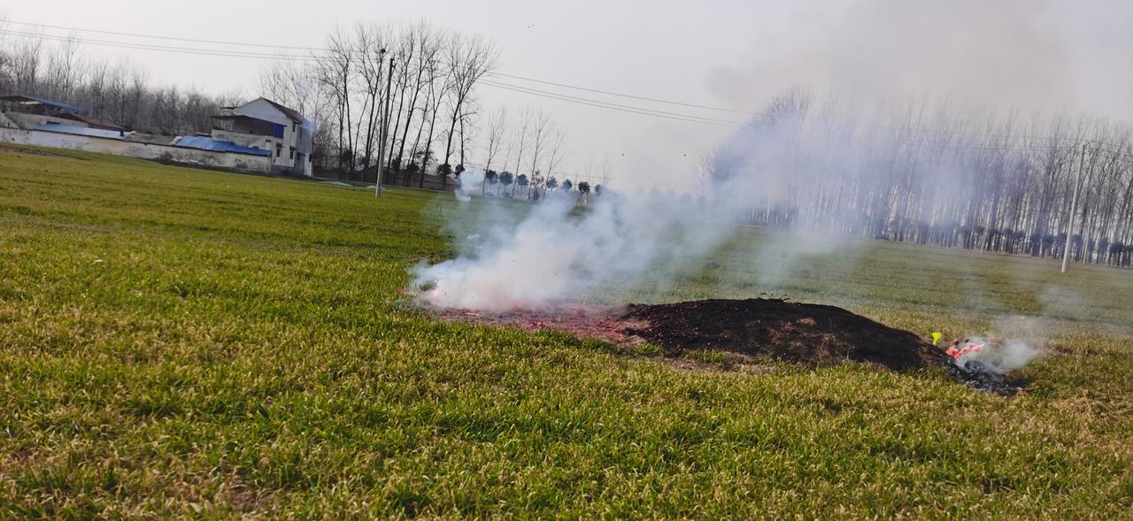 我和我爷爷奶奶没有什么感情。

从小到大我从来没有体会过有爷爷奶奶的好。因为我父