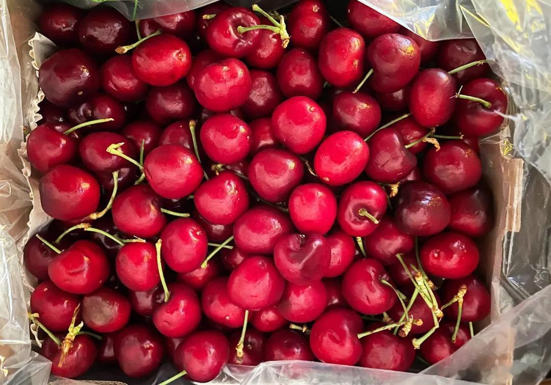 【车厘子批发价大跳水：整件从1700元降至500元】车厘子批发价降幅超70% 2