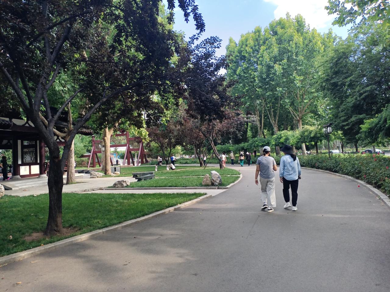 古话说的好:仇人转弟兄，恩人转夫妻。
      有时候还真是这样，一母同胞的兄