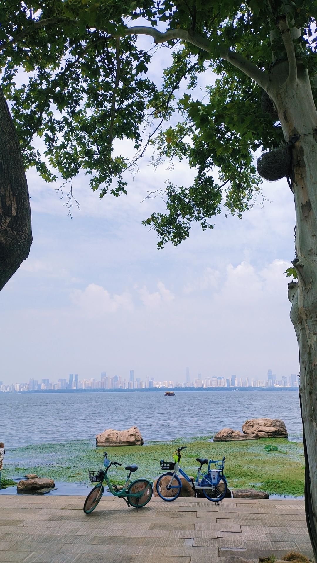 我遇到了一个好医生
遇到好医生，会像捡到宝贝一样开心。好医生是可遇不可求的。
