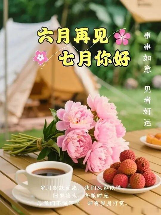 悠然梅心语 今天是六月终章，把遗憾、疲惫悉数留给过往，释怀过往所有得失与遗憾，不