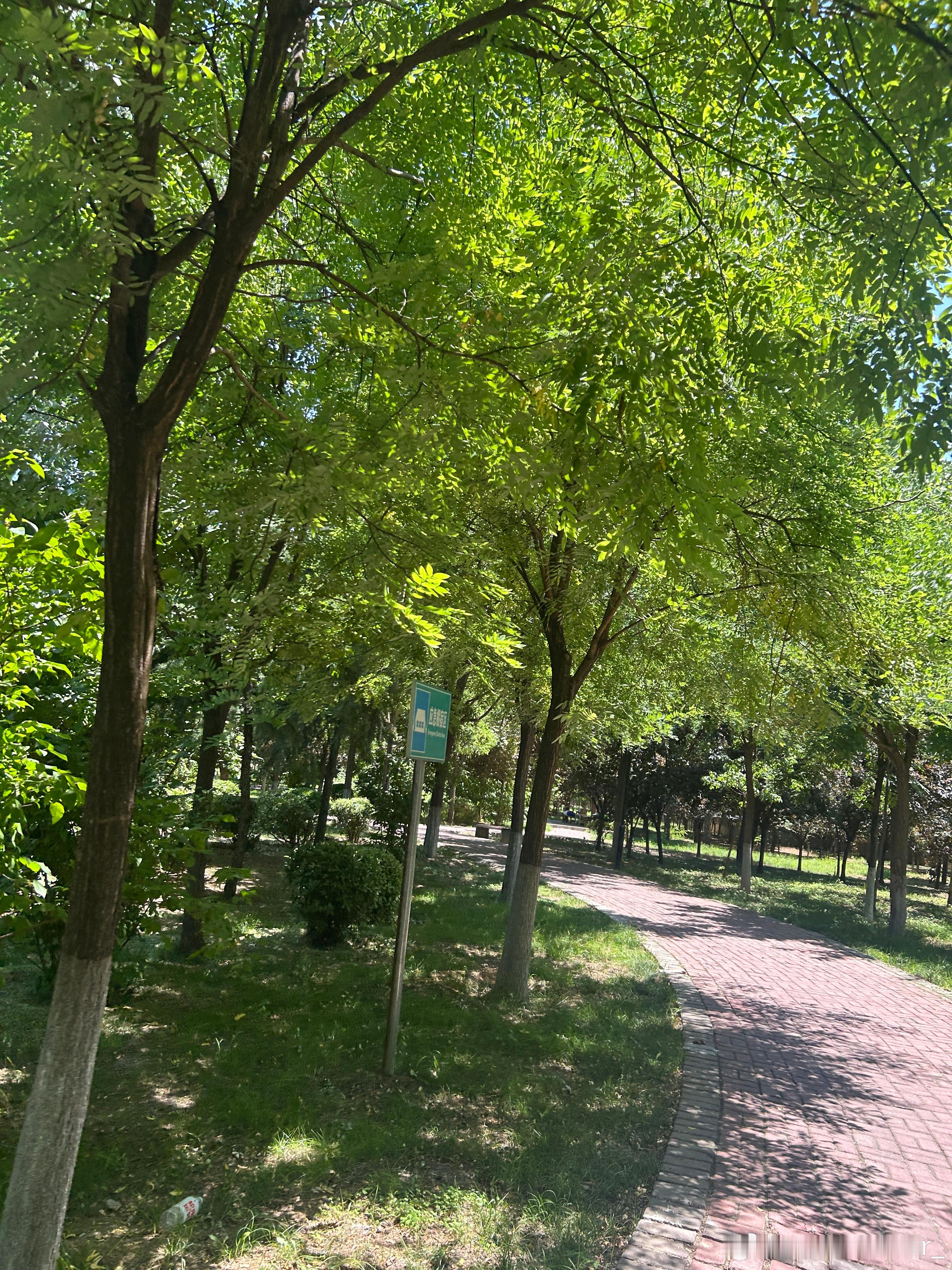 早上好。新清晨新状态。放下疲惫。好好感受今天所有温柔瞬间。周末愉快