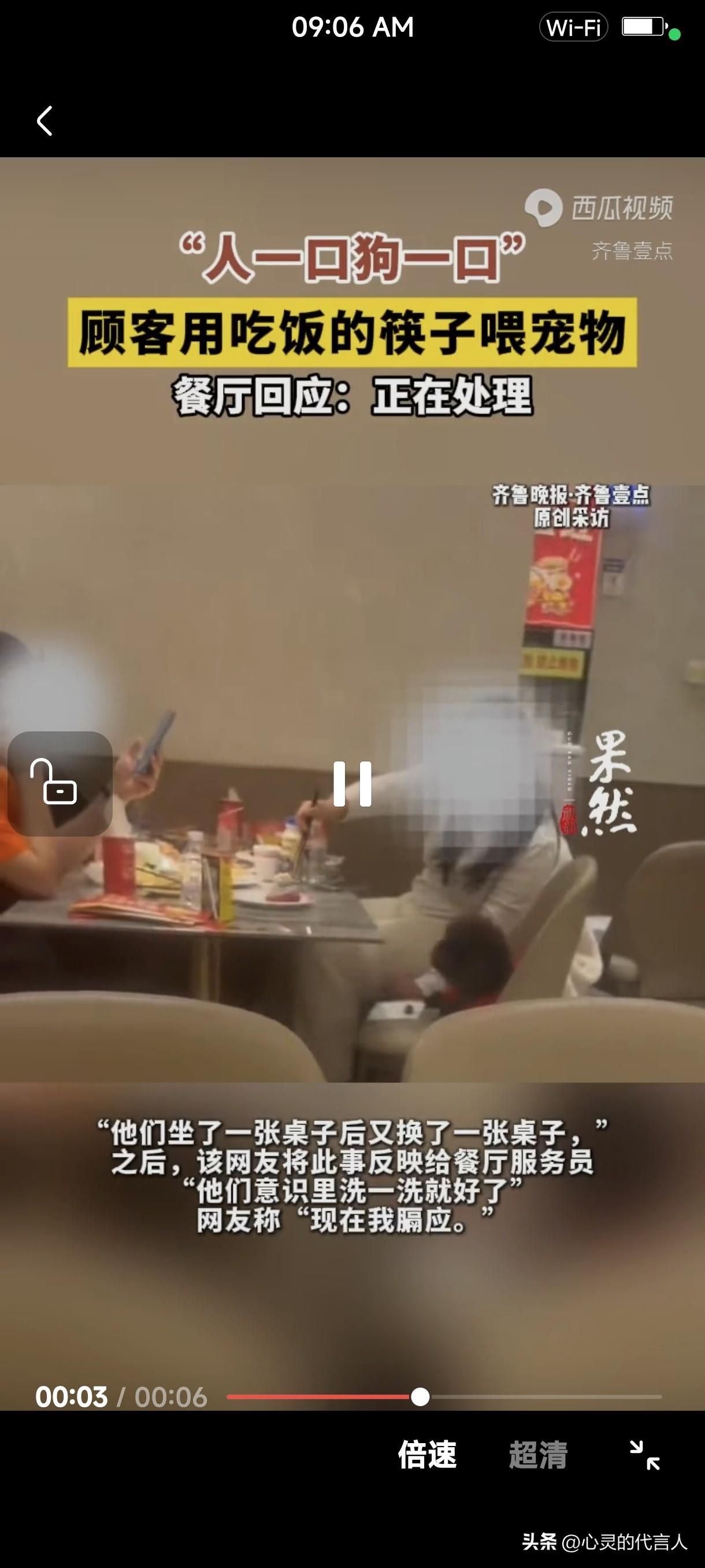 宠物狗能否带进餐厅，主人与狗共用餐厅碗筷是否合情合理，这些问题是现在热议而且争议