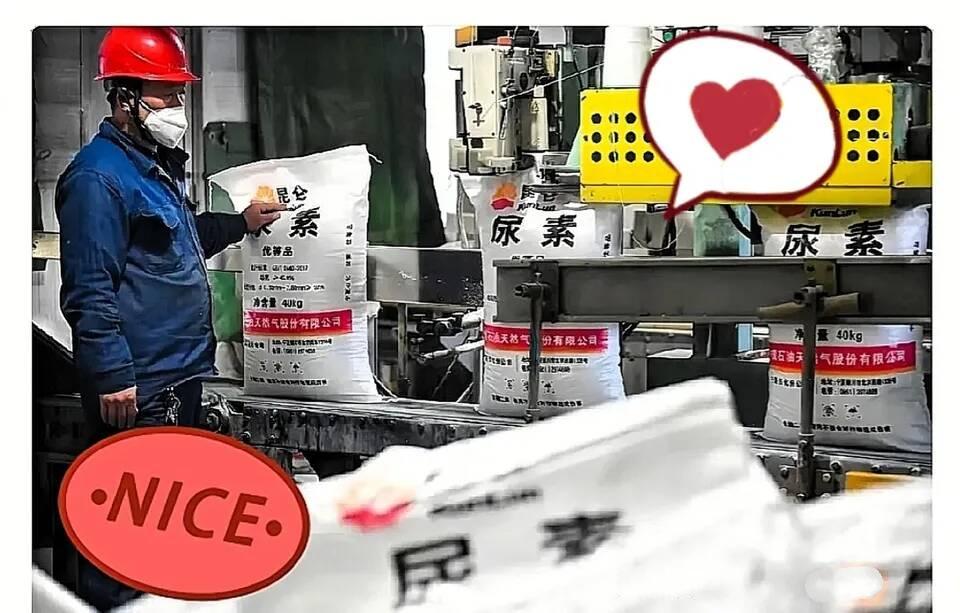 霍尔木兹海峡那边还没消停，谁能想到，咱们西北新疆、宁夏和内蒙的尿素厂却忙得脚不沾