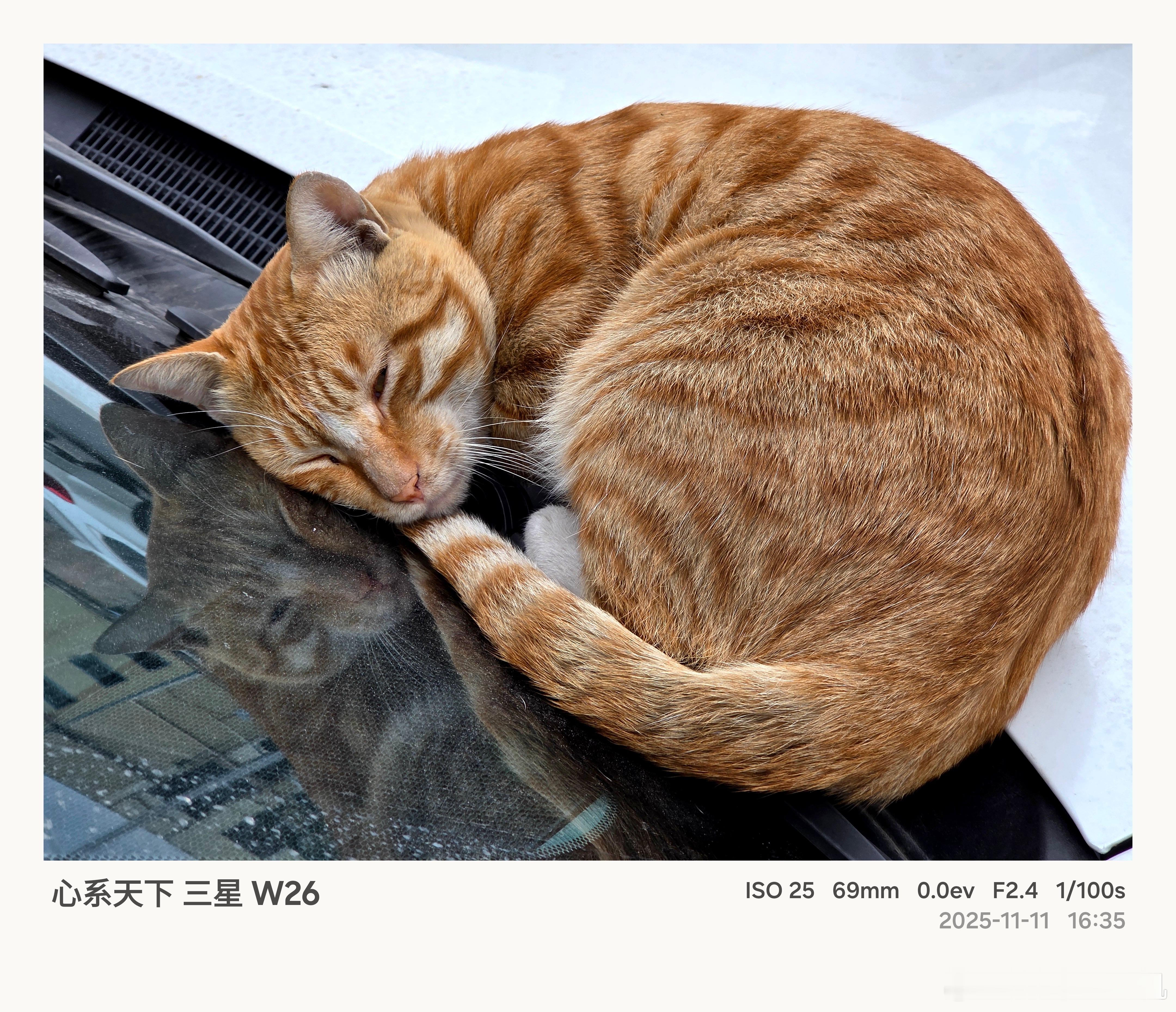 别睡，起来嗨！