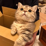 棉蛤爱品影视剧