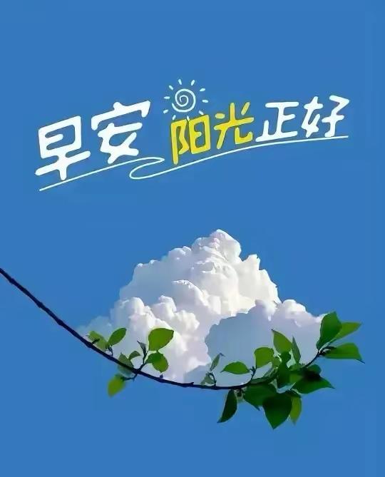 人这一辈子，有些路只能自己走，有些寒只能独自扛

[玫瑰][心][玫瑰]

生活