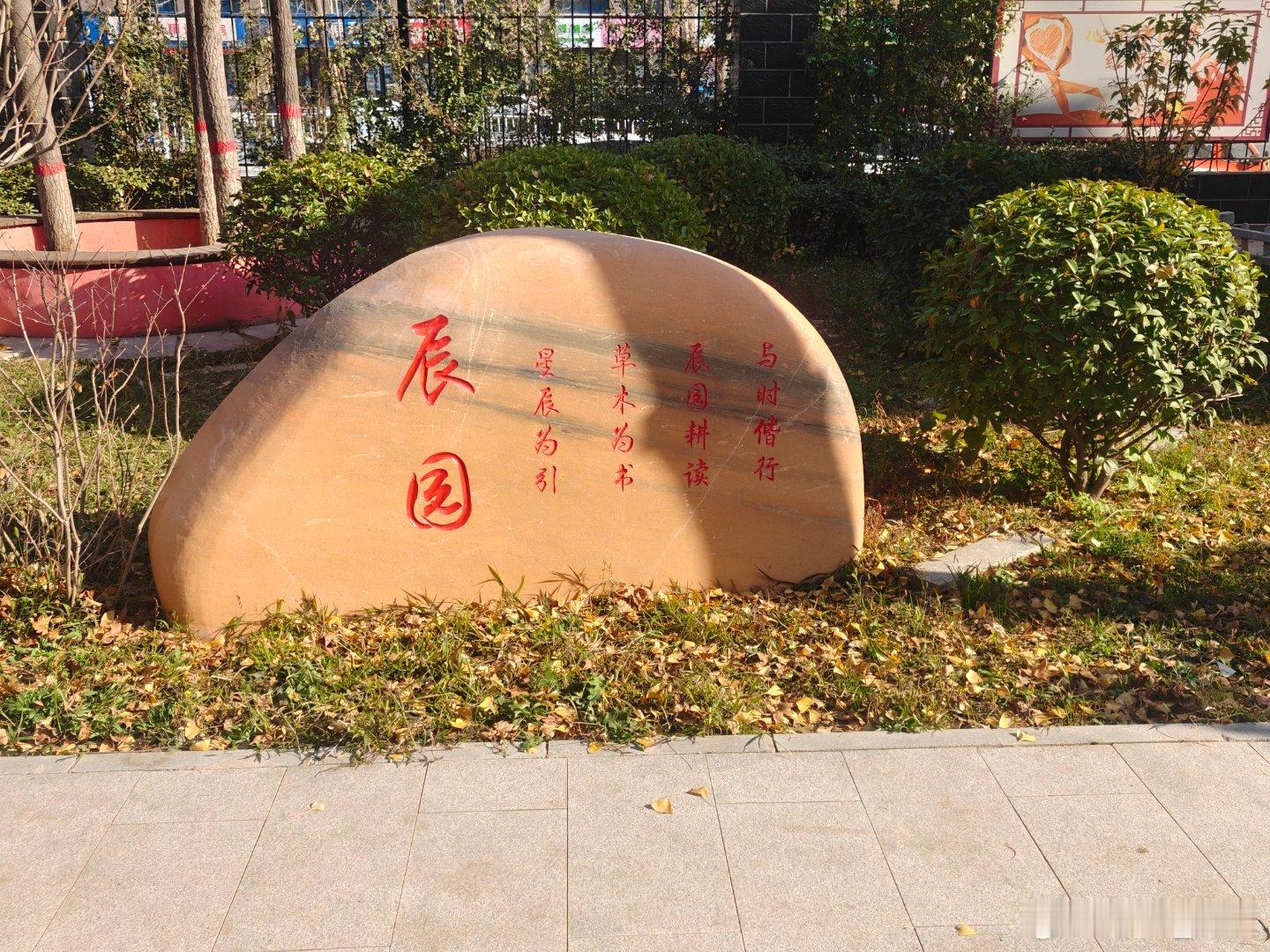 曾经的课桌历历在目，黑板书写着知识的种子。你有多久，没来过这片青春的土壤？ 