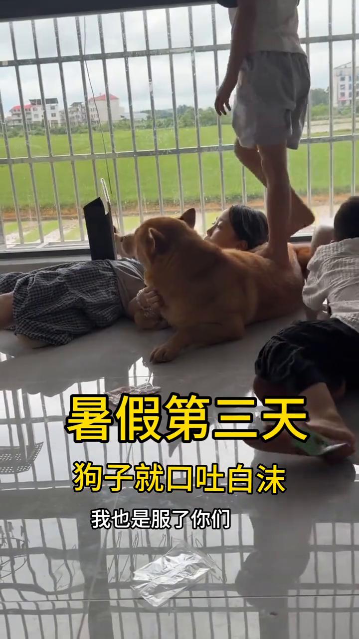 实在不行你出去躲两天，我也是服了你们，这几天去外婆家来这里。