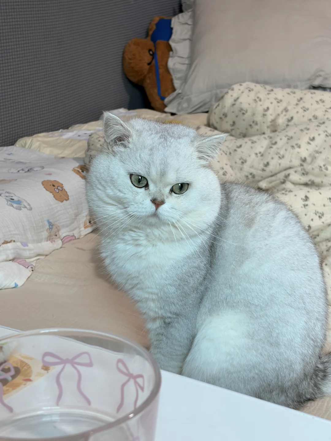 圆脸
