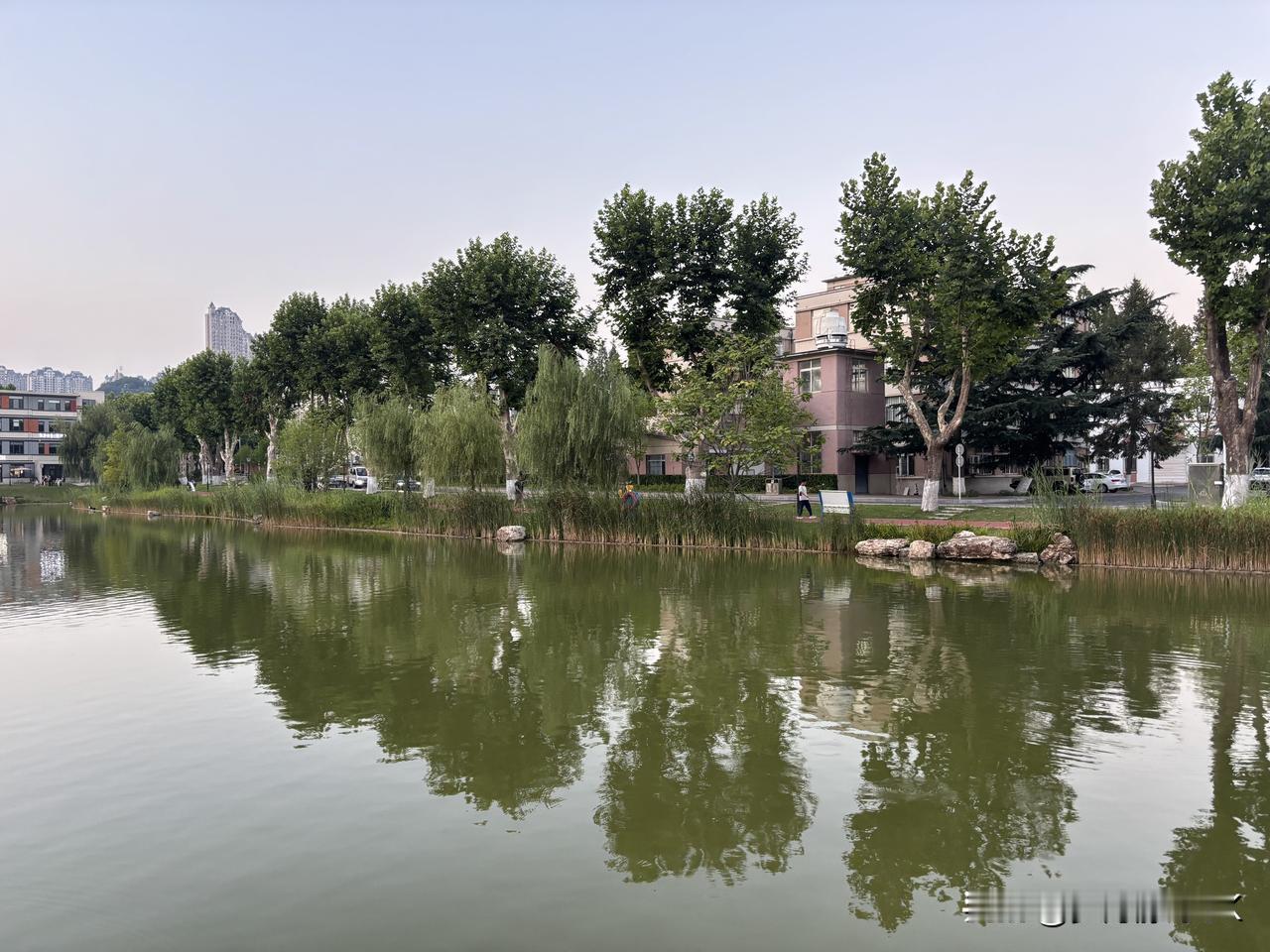 我闺蜜这事，着实令人感慨。她老公去世后的那三个月，她哭得肝肠寸断，寻死觅活的，仿