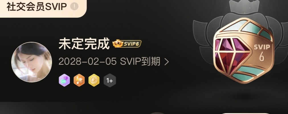 不看不知道，我的svip居然都到28年了 