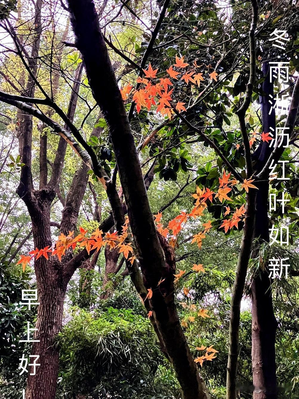 分享一下你随手拍下的照片