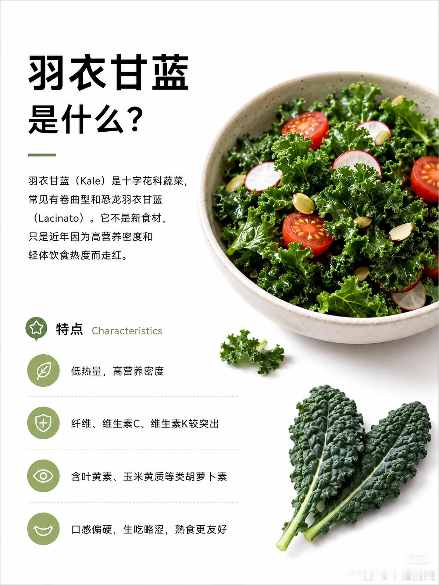 羽衣甘蓝 农药1、核心营养成分维生素 C：强效抗氧化剂，有助于增强免疫力、促进胶