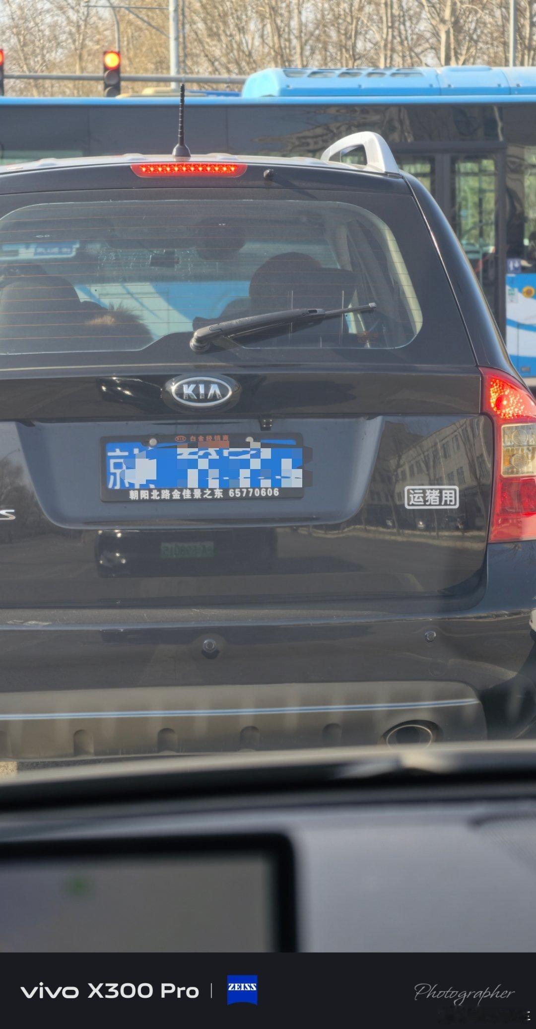 啊哈哈哈哈哈哈哈这小车可还行我与汽车的日常启子的日常